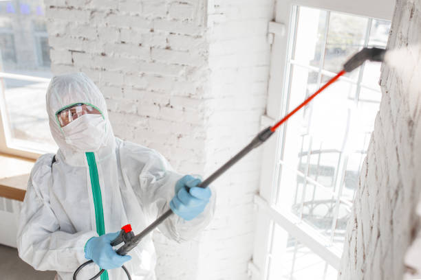 Best Post-Construction Mold Inspection  in New Smyrna Beach, FL