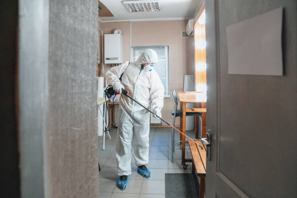 Best Mold Remediation for Healthcare Facilities  in New Smyrna Beach, FL