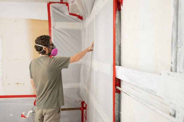 Best Black Mold Removal  in New Smyrna Beach, FL