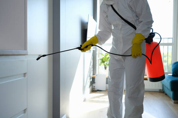 Best Airborne Mold Testing  in New Smyrna Beach, FL