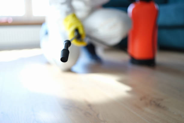Best Mold Odor Removal Services  in New Smyrna Beach, FL