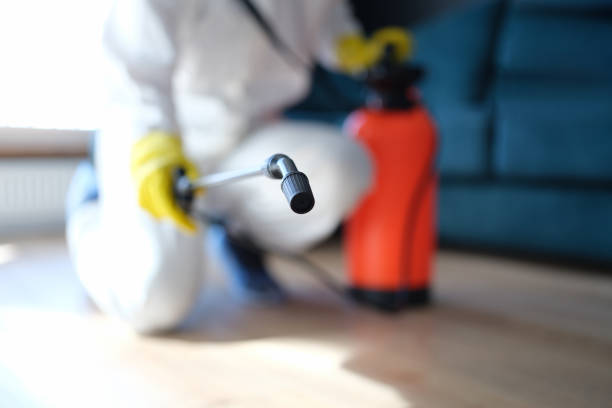 Best Comprehensive Air Testing for Mold Contaminants  in New Smyrna Beach, FL