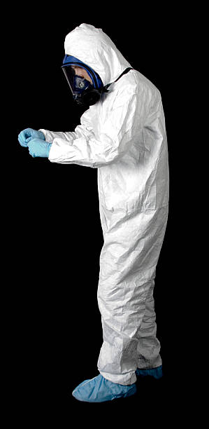 Best Attic Mold Removal  in New Smyrna Beach, FL