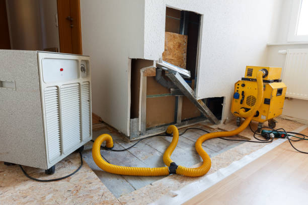 Best Dehumidification Services  in New Smyrna Beach, FL