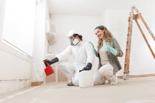 Best Air Quality Testing for Mold Spores  in New Smyrna Beach, FL