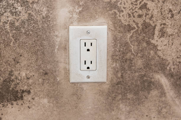 Best Residential Mold Inspection & Testing  in New Smyrna Beach, FL